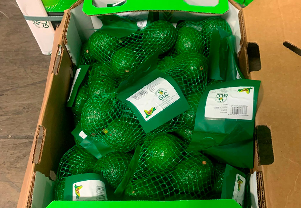 Avocado