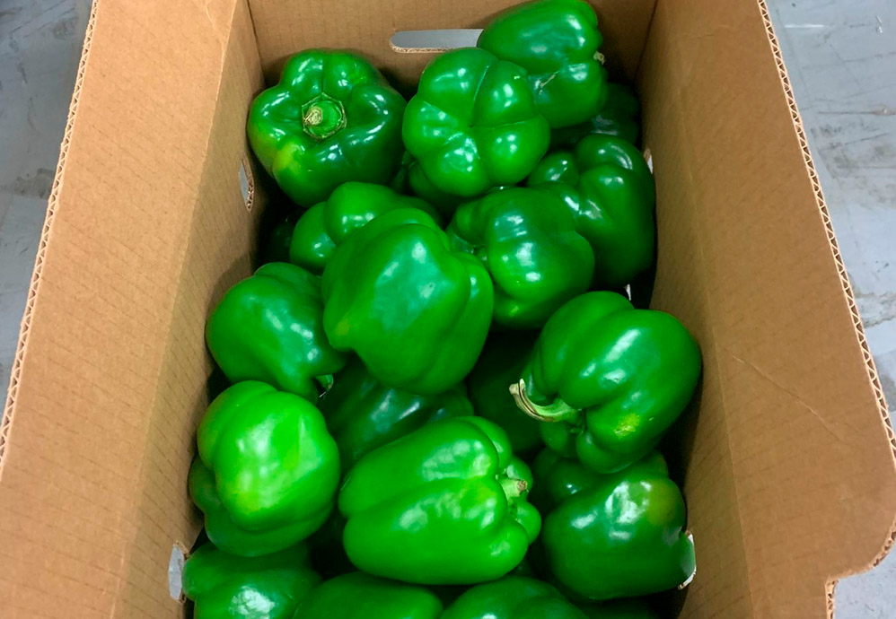Bell Pepper