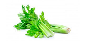 Celery