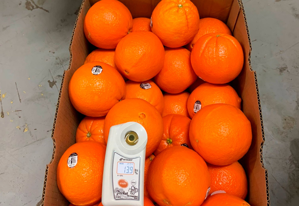 Tangerine