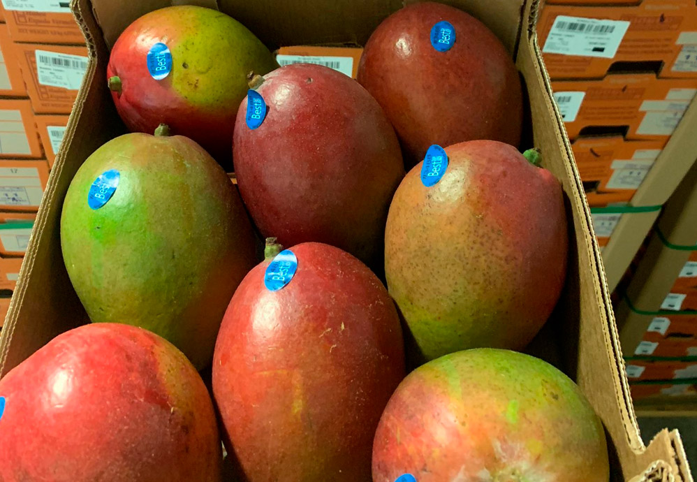 Mango Ataulfo