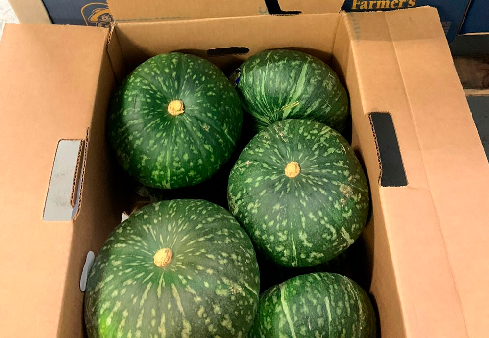 Pumpkin