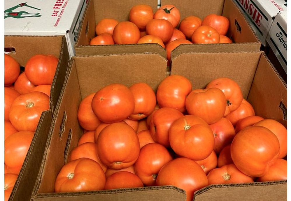 Tomato