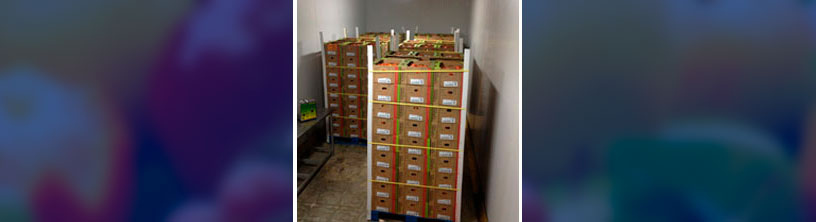 Storage